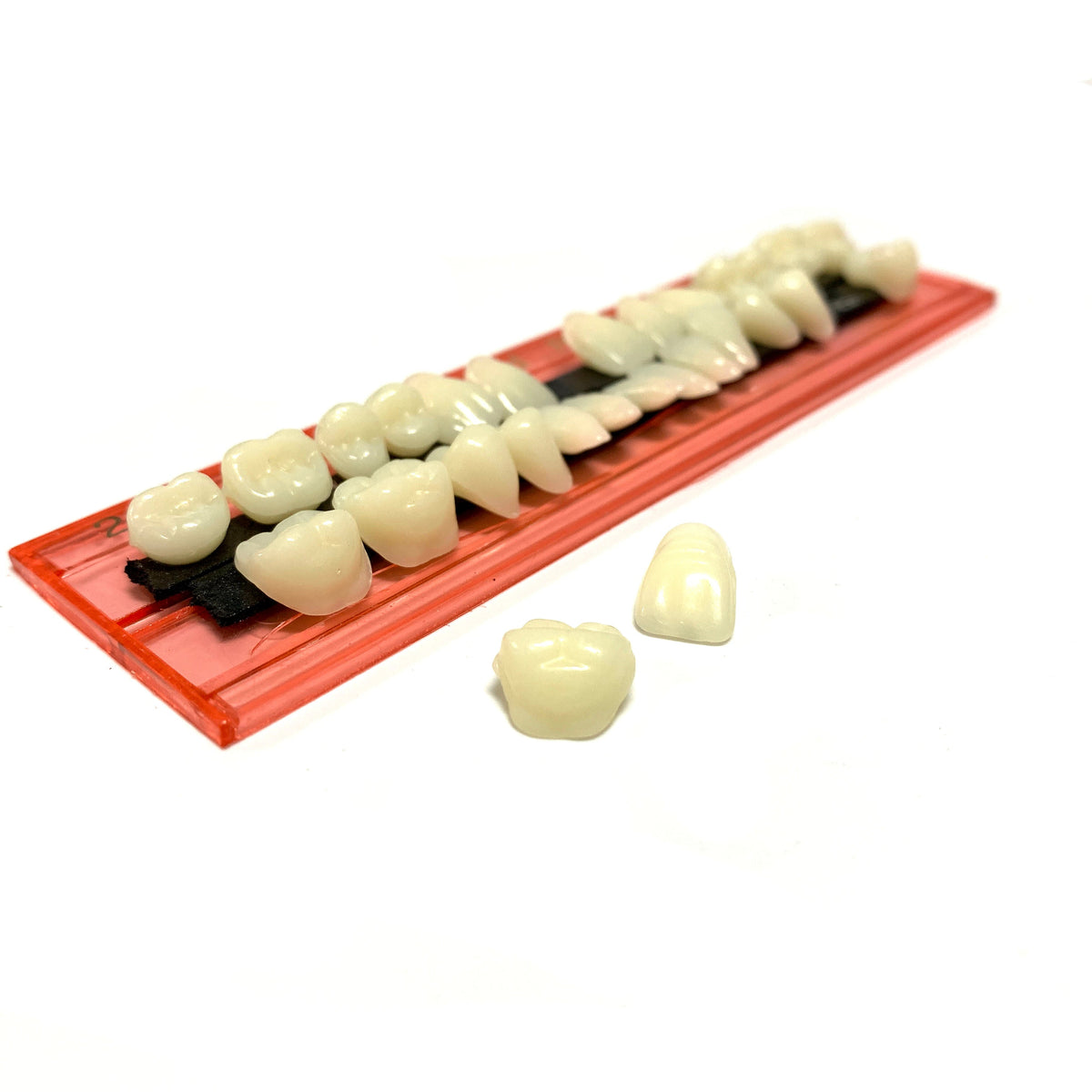 Professional Grade Fake Resin Teeth Set - 28 Pieces - Prop Money Inc.