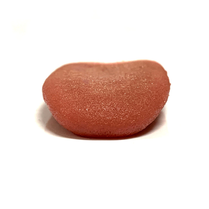 Special Effects Silicone Fake Severed Tongue - Prop Money Inc.
