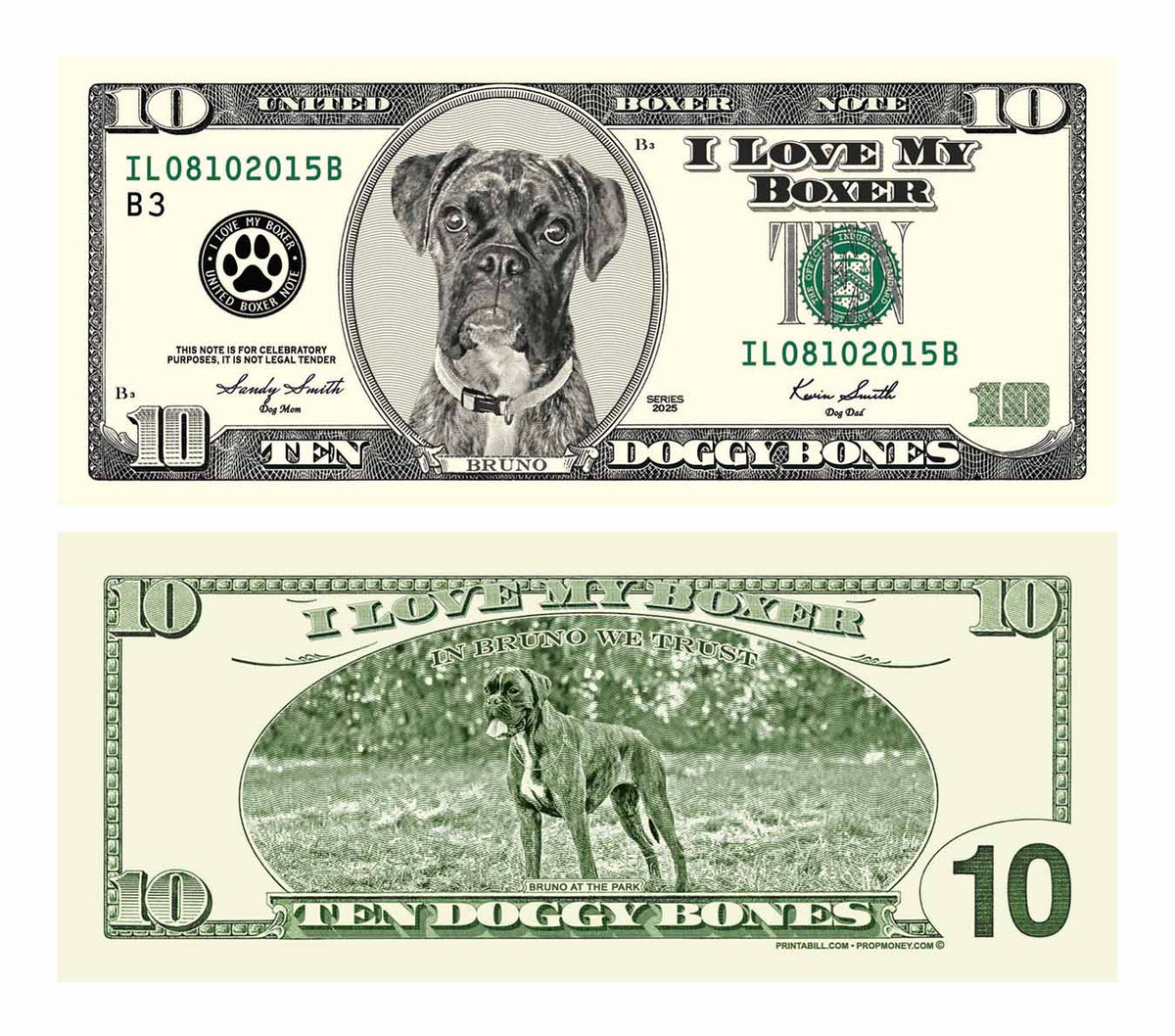 Custom dog money bills featuring a boxer portrait