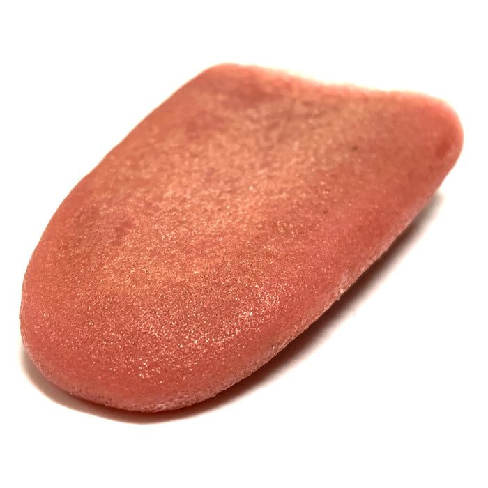 Special Effects Silicone Fake Severed Tongue - Prop Money Inc.