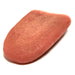 Special Effects Silicone Fake Severed Tongue - Prop Money Inc.
